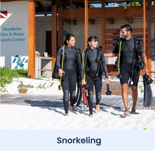 Excursion Option: Snorkeling