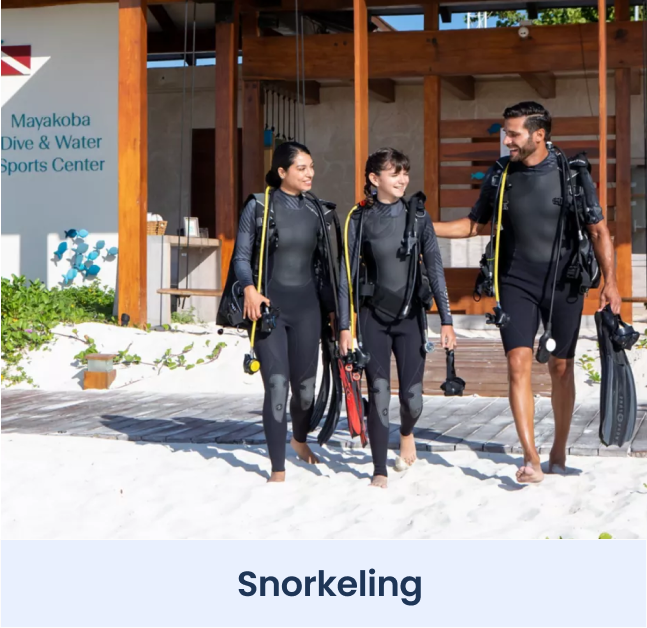Excursion Option: Snorkeling Excursion Option: Snorkeling